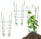 Teksome Jaulas para Tomates De Jardín - Estructura De Soporte para Tomates Y Plantas Trepadoras,Estacas Altas para Plantas con Soporte Flores Suministros Jardinería Frutas Enredaderas