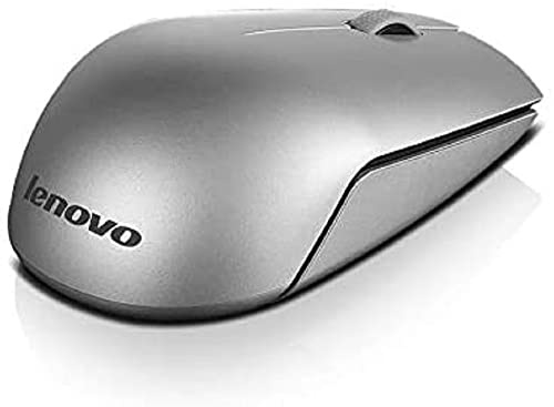 Lenovo 500 Souris sans Fil Argenté