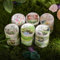 Arpaper Scrapbooking Zubehör Stickers,6 Rolls PET Grass Blumen Aesthetic Washi Tape Stickers Decorative for Journal,Photo Album,Bullet Journal Zubehör,Notebook(Mountain Grass Series)