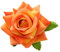 Pince à cheveux en forme de fleur pour femme - Pince à cheveux en forme de rose - Broche en forme de fleur