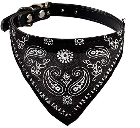 Collar Ajustable para Gatos y Perros, Ligero, cómodo y Seguro, Ideal para Interior y Exterior, Gargantilla de 20 a 26 cm, diseño Elegante para felinos