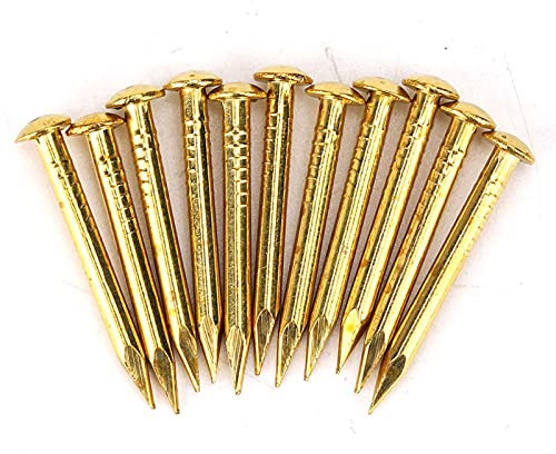 Brass Nails Gold, 100 Pcs Furniture Tacks Round Head Pins Antique Small Wooden Nails, for Handmade Thread Pictures Furniture Hinge Hardware Accessories Fasteners