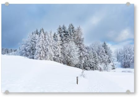 artboxONE Acrylglasbild 45x30 cm Natur Berge, Schnee, Wald Bild hinter Acrylglas - Bild Winter blau Frost