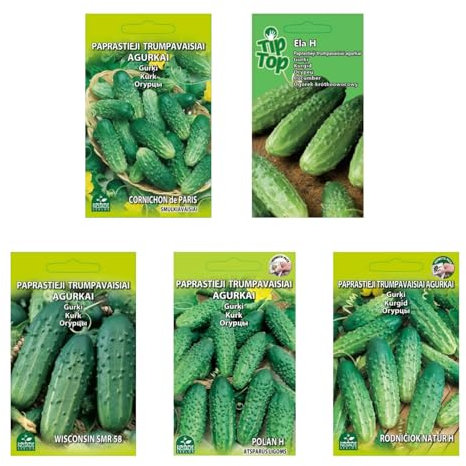 Nojus - Set de semillas de pepino - 5 variedades - Kit de inicio de varias semillas de pepino - 5 paquetes - Semillas de jardín - Caja de semillas de verduras 5 variedades