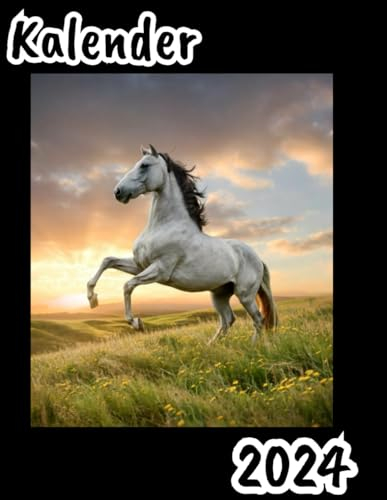 Kalender mit Ponys 2024 für Kinder: 24 Seiten, Größe 8,5 x 11 Zoll.