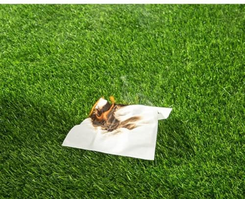 GLFNB Césped Artificial de Primera Calidad, Alfombra de césped sintético de 3 x 10 pies, para Perros, jardín, Paisaje, Interior y Exterior (tamaño: 3 x 1 m)