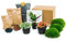 urbanjngl.com - Flaschengarten Paket Lancifolia - 3 Pflanzen - Nachfüll & Starterpaket DIY - Pflanzenterrarium Nachfüllset - Pflanzen-Terrarium-Paket - Pflanzenterrarium Refill lancifolia