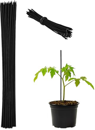 Relaxdays 100 Cañas Bambú, 30x0,5 cm, Soporte Plantas Jóvenes, Alambre de Sujeción, Palos Jardín, Negro