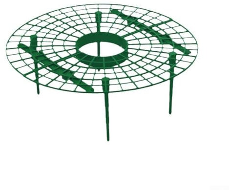 Supporto per fragole per il tuo giardino, confezione da 10, aiuta a mantenere le piante pulite ed elevate