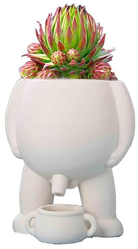 Pot de pis, pot de pour plantes, pot de fleurs fantaisie pipi, pot de fleurs pour pipi drôle, décoration d'intérieur, idée cadeau amusante, succulente, vase drôle décoration d'intérieur (couleur