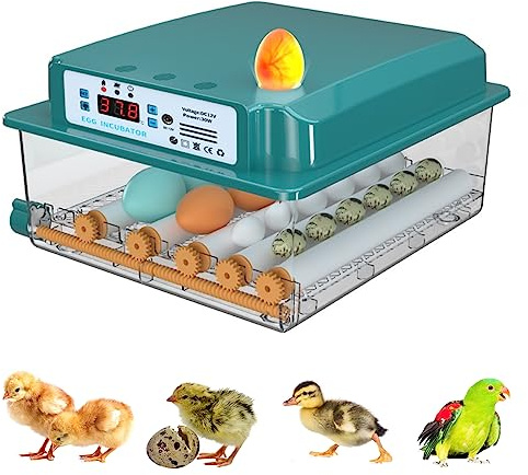 Umisu Automatische Brutmaschine für Eier, Inkubator, automatisches Umdrehen der Eier, Temperatur, 16 Eier, digital, Inkubator für Bauernhof