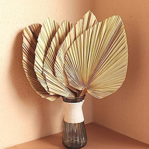 Dried Palm Leaves 5Pcs 18 Large Natural Trimmed Palm Spear Tropical Palm Leaves Fans Boho Wedding Decor Hawaiian Luau Party Holidays Kitchen Table Dried Flowers Pampas Grass Decoration