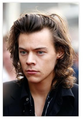 EYEZER Harry Styles Musikposter Leinwand Poster Schlafzimmer Dekor Sport Landschaft Büro Zimmer Dekor Geschenk ungerahmt 30 x 45 cm