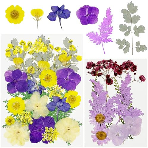Cayway 40 Pz Naturales Flores Prensadas Secas, Violeta Hojas Prensadas Secas Naturales, Flores Secas Reales para Resina para Resina Scrapbooking, Joyería de Resina Epoxi
