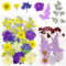 Cayway 40 Pz Naturales Flores Prensadas Secas, Violeta Hojas Prensadas Secas Naturales, Flores Secas Reales para Resina para Resina Scrapbooking, Joyería de Resina Epoxi