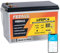 FEENCE Batteria LiFePO4 300 Ah 12 V, batteria al litio 3840 Wh con BMS 200 A, max. 15000 cicli, perfetta sostituzione per camper, impianto solare, barca, kit pannello solare, campeggio