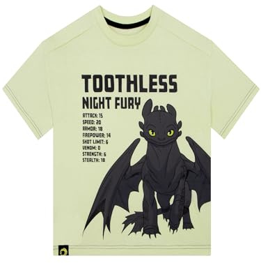 How To Train Your Dragon Boys Tshirt, Toothless Kids T Shirt, Kids Clothes for Summer, Cotton Summer Top, Ages 5 to 13 Years