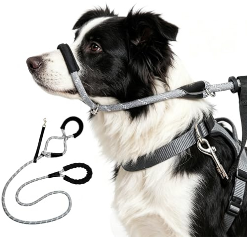 Figure of 8 Dog Lead Anti Pull, Figure 8 Dog Lead, Comfortable & Durable Tow Rope with Nose Padding and Collar Attachment for Walking