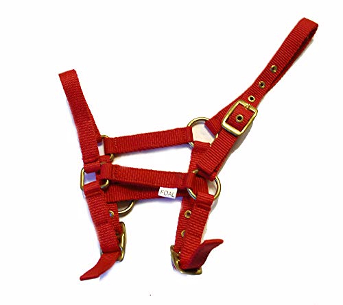 Rhinegold 0 Nylon Foal Headcollar-Red Halfter für Fohlen, rot, Einheitsgröße