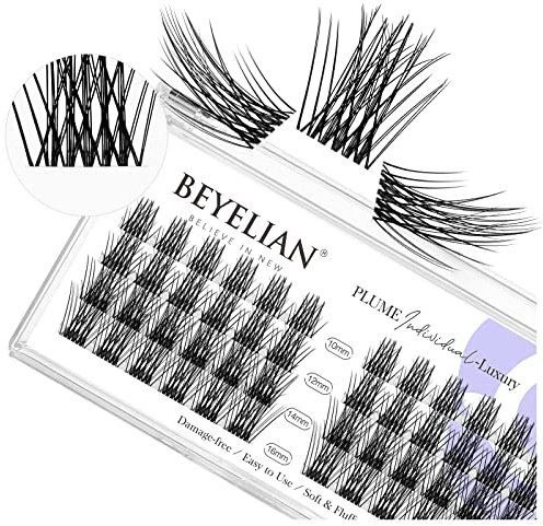 BEYELIAN Ciglia Finte Ciuffetti, C Curl Ciuffetti Extension Ciglia 48 Pezzi 0.07mm 10-16mm Mixed Fai Da Te Ciglia Finte per Uso Personale a Casa (Luxury, Trasparente)