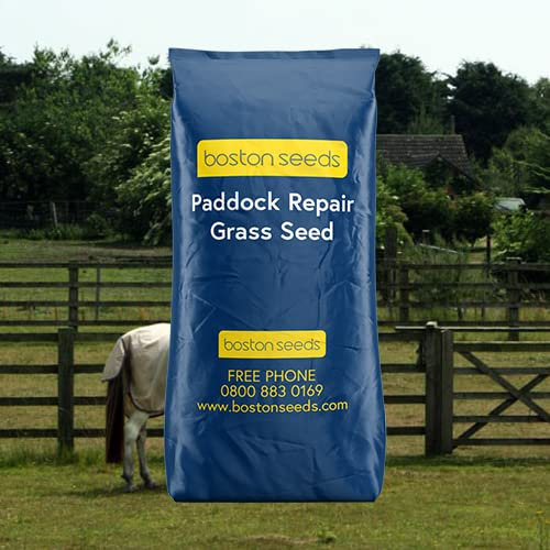 Boston Seeds Paddock Patch Repair Grass Seeds (1 x 10kg) - Horse Paddock Repair Grass Seed Perfect for Repairing & Rejuvenating Paddocks & Lawn Treatment