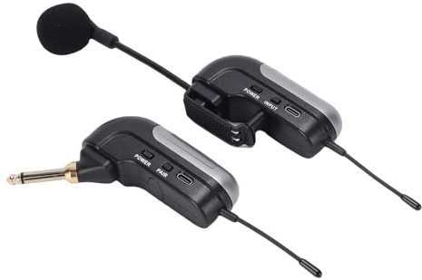 PUSOKEI Microfono Wireless per Fisarmonica UHF, Microfono Pickup per Strumento Audio HD 360, Riduzione del Rumore, 30 M, Durata della Batteria 6 Ore, con Ricevitore, per Spettacol