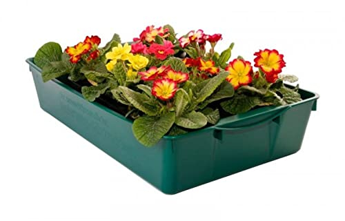 BURI 1-6x Profi Gärtnerbox Pflanzschale Pikierschale Grün 58x32x11cm Pflanzwanne Blumenkasten Anzuchtwanne eckig Saatschale - robust, wetterfest, frostfest
