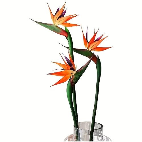 HAOSHICS 3 fiori artificiali di uccello del paradiso, Strelitzia, finta seta, per casa, ufficio, matrimonio, tavolo, centrotavola, decorazione