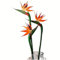 HAOSHICS 3 fiori artificiali di uccello del paradiso, Strelitzia, finta seta, per casa, ufficio, matrimonio, tavolo, centrotavola, decorazione