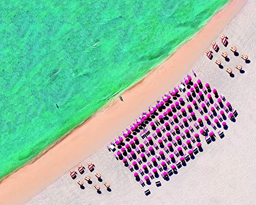 Komar Wandbild | South Beach | Poster, Bild, Wohnzimmer, Schlafzimmer, Dekoration, Kunstdruck | ohne Rahmen | P047-50x40 | Größe: 50 x 40 cm (Breite x Höhe)