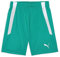 PUMA Unisex Baby Teamliga Shorts Jr, Pfeffer Grün-p, 116