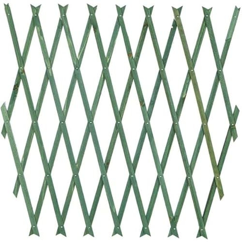 OISE ART STORE Trade Shop Treillis extensible en bois vert pour mur de jardin plantes 180 x 30 cm