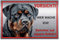 Schild Hundeschild Vorsicht Hier wache ich - Betreten auf eigene Gefahr! Achtung - Warnschild Silber gebürstet - Warnung vor dem Hund - Rottweiler M2 (Silber, 30x20 cm)