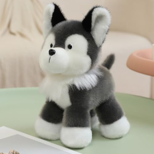 AQCQDQ Hund Kuscheltier, Weicher Plüschhund Plüschtier 25CM, Weich Flauschiger und Kuschelig, zum Spielen und Kuscheln, Geschenk für Jungen, Mädchen und Erwachsene (D)
