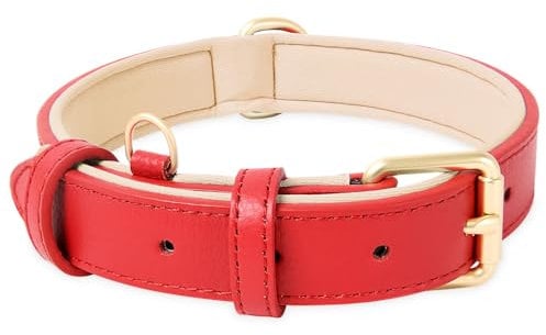 HEELE Collar de cuero suave para perro, transpirable, acolchado con anillo en D, color de almohadilla, collar clásico ajustable para perros pequeños, medianos y grandes, rojo nuevo, M