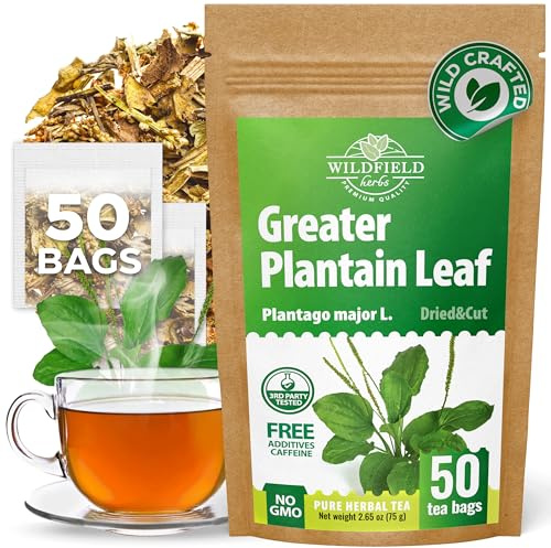 50 Bags Broadleaf Plantain Leaf Herb Tea (Plantago Majoris Folia) Plantain Leaves Tea - 50 Count 1.5 g Bags Llanten