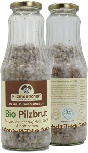 Bio Kräuterseitling Körnerbrut - Pilze selber züchten