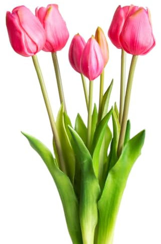 Botanic-Haus künstliches Tulpenbündel/künstlicher Tulpenbund Sandy lang mit 4 Tulpen und 3 Tulpenknospen Farbe: Beauty „real Touch“