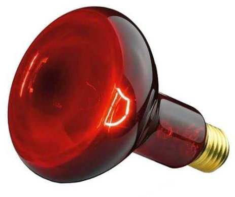 Beurer Zubehör f.Infrarotlampe Ersatzstrahle SIL06/IL11 Ers.