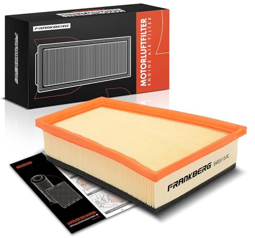 Frankberg 1x Filtro Aria Benzina/Diesel Compatibile con Fluence L3 1.5L-1.6L 2010-2024 CC EZ0/1 1.2L-1.9L 2010-2015 Scénic III JZ0/1 1.2L-1.9L 2009-2016 Replace# 8200820859