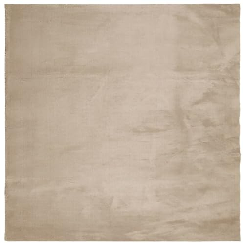 vidaXL Teppich, Wohnzimmerteppich Kurzflor Weich Waschbar, Moderner Teppich für Wohnzimmer Schlafzimmer, Flauschig Einfarbig rutschfest, Sandfarben 120x120cm