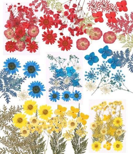 60-teiliges Set mit getrockneten Blumen, gepresst, natürlich, für DIY Dry Flower Styling, Dekoration für Fotoalbum, Geschenkverpackung