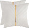Tosleo 2 Stück Kissenbezüge Samt Kissen mit Goldfarbenem Leder 40x40cm Dekokissen Moderne Luxuriös für Sofa Gartenbett Couch Wohnzimmer Sofakissen Bett Beige