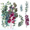 ExceLife Large Size Flower Plants Scrapbook Stickers, Self-Adhesive Vintage Plants Leaves PET Transparent Stickers DIY Crafts for Laptops Card Making Junk Bullet Journal Planner, Eucalyptus