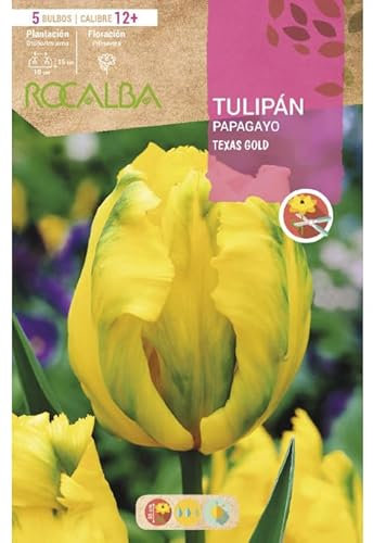 Peyca Bulbo de flor variedad Tulipan papagayo texa gold 5 unidades - Rocalba