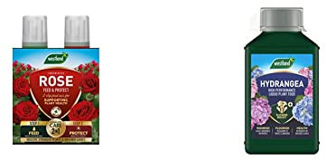 Westland Rose Feed & Protect Concentrates 2 in 1 (2 x 500 ml) & 20100444 Hydrangea High Performance Liquid Plant Food 1 Litre