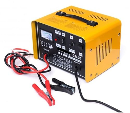 CARICABATTERIA CARICA BATTERIE 12V 24V 30A PER AUTO CAMION CAMPER SCUOTIOLIVE 90-250Ah