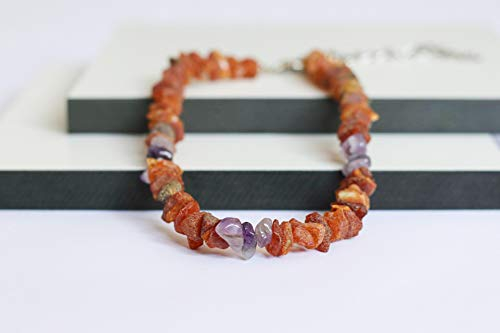 Bernsteinkette für Hunde aus Roh Baltischer Bernstein mit Amethyst verziert | Zeckenhalsband | Bernstein Gegen Zecken | Zecken und Flohschutz Halsband (25-30 cm)