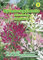 Cleome spinosa, Spinnenpﬂanze, Mischung N.L.Chrestensen Samen 536299-B