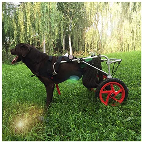 Einstellbare Gehhilfe Hund Rollstuhl für Große Hunde Pet Wagenhunde Gehhilfe für Hunde Hinten Hunderollstuhl, Verbesserte Hunderäder für Hinterbeine Rehabilitation, Walkin-räder ( Size : X-Large B )
